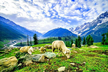 Kashmir,Vaishno Devi - Amritsar  Tour Package