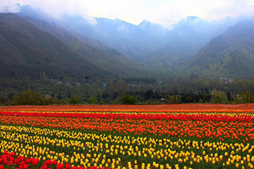 Srinagar-Kashmir 6 Days Tour Package